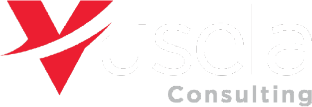 Vusela Consulting